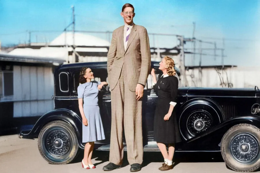 Robert Wadlow Height