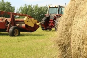 Running During Harvest