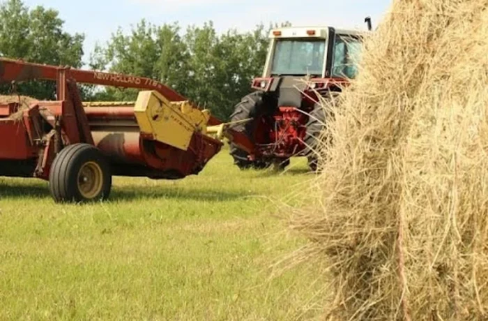 Running During Harvest